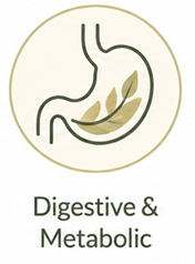 Digestive & Metabolic Health
